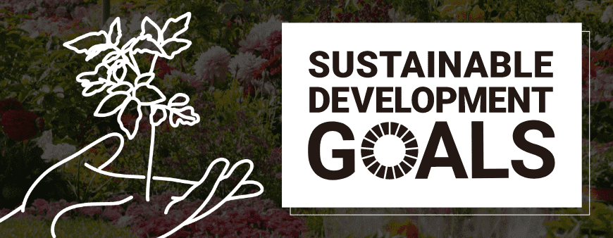 Sustainable Development Goals Sustainable Development Goals